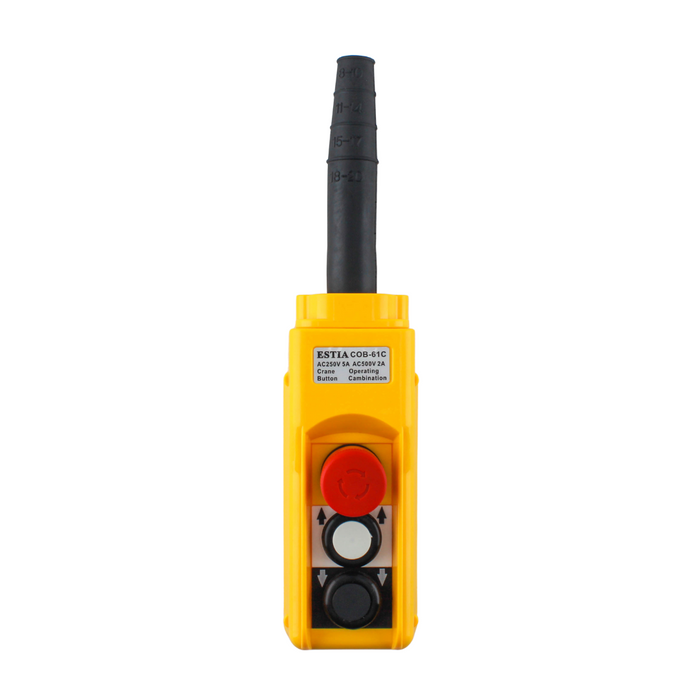 Tronic Crane Hoist Control Switch 1 Tronic Crane Hoist Control Switch