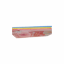 Castillo Heavy Duty Sponge Cloths Red, Yellow & Blue 20x17cm (Pack of 96Pcs)