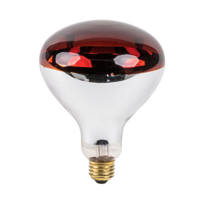 Tronic Infrared Bulb E27 250 Watts 1 Tronic Infrared Bulb E27 250 Watts