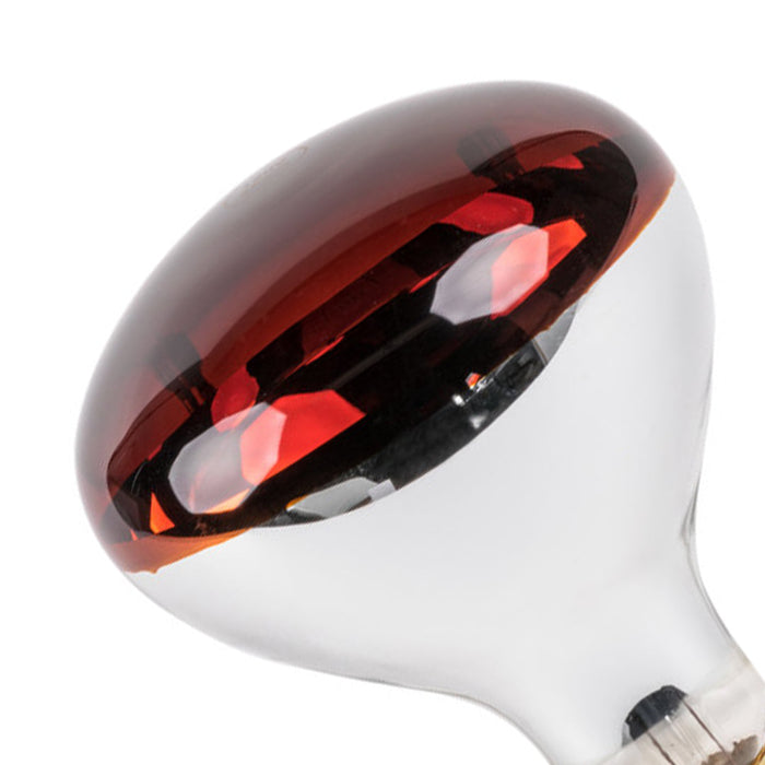 Tronic Infrared Bulb E27 250 Watts 2 Tronic Infrared Bulb E27 250 Watts