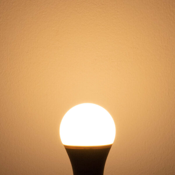 Tronic LED Bulb 5W Pin Type B22