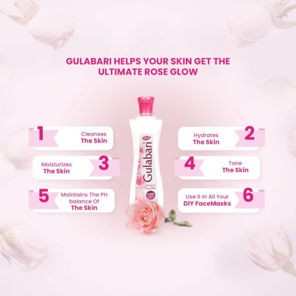 Dabur Gulabari Rose Water With No Paraben, Cleanses, Hydrates & Moisturises Skin, Balances & Restores Skin's pH Levels, For All Skin Types 250ml (Set of 6)