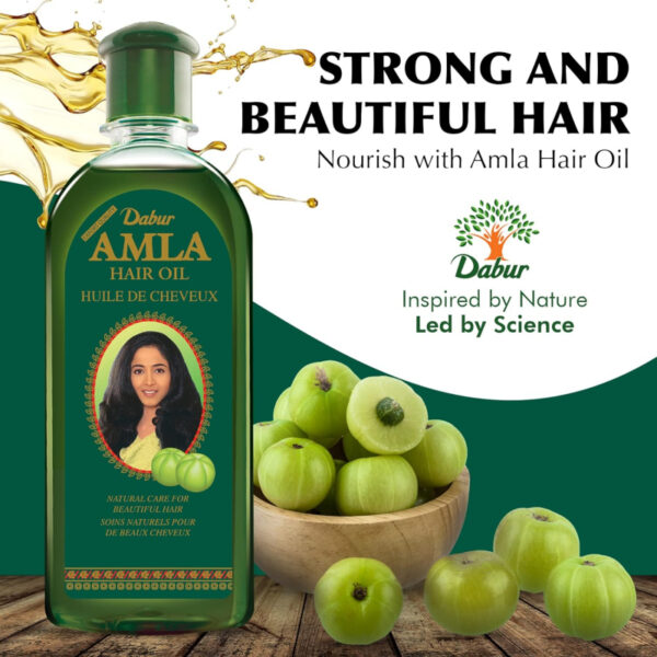 Dabur Amla Hair Oil for Healthy Hair and Moisturized Scalp, Indian Hair Oil for Men and Women 200ml (Set of 6)