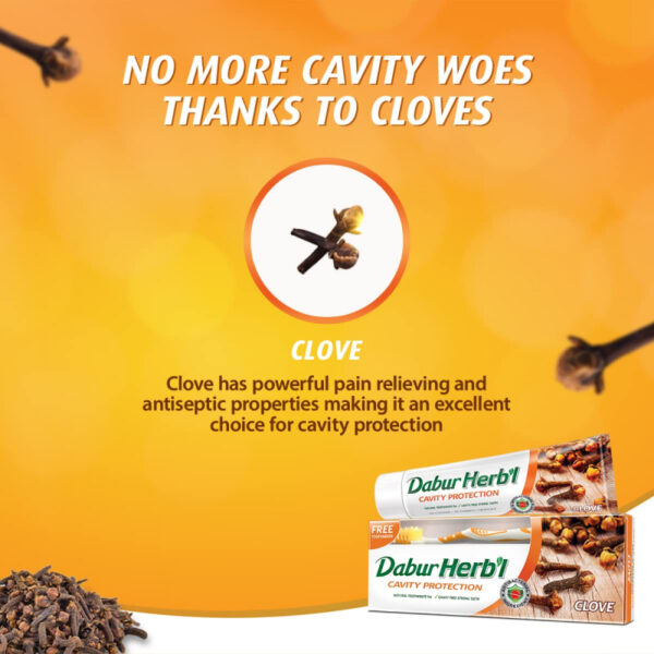 Dabur Herbal Toothpaste 150g with Brush Clove Natural Toothpaste for Cavity Protection‎, No Added Chemicals (Set of 6)