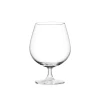 Ocean Cognac Glass 6pcs Madison Cognac 650ml Fine Rim Stemware 1015N22E