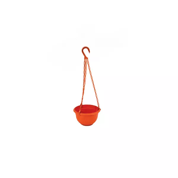Cello Hanging Planter Small Multi-Color 170 X 480Mm (Pack Of 6) 1 Cello Hanging Planter Small Multi-Color 170 X 480Mm (Pack Of 6)