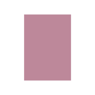 Special Colour Manilla Sheet A4 160gsm 100 Sheets Pink P06944